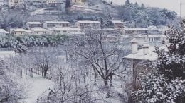 Neve Gorizia