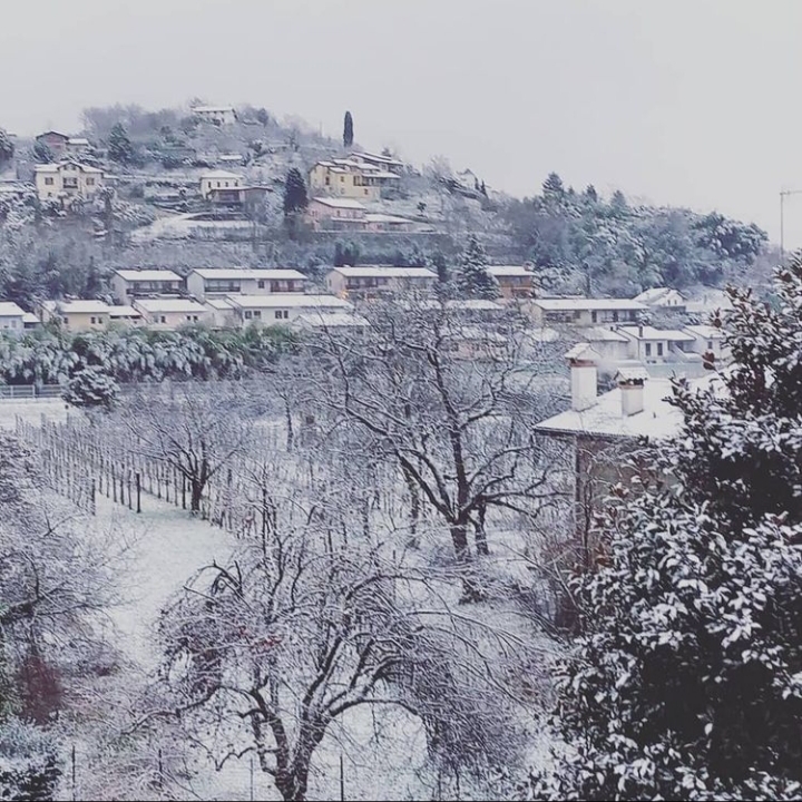 Neve Gorizia