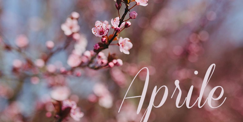 Che Giorno è Il 2 Aprile Il mese di Aprile, con un bel proverbio sul meteo e sui bachi da seta