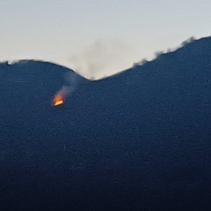 Incendio tra Tolmezzo e Zuglio, sul posto i Vigili del fuoco