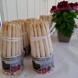 Il Friuli Venezia Giulia ospita il Salotto dell'asparago