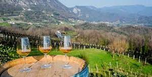 Dopo due anni ritorna Borgo Clotz: l'evento alla scoperta dei vini del Friuli