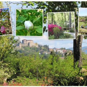 C’è un giardino nascosto che si affaccia su Gorizia e apre le sue porte alla primavera