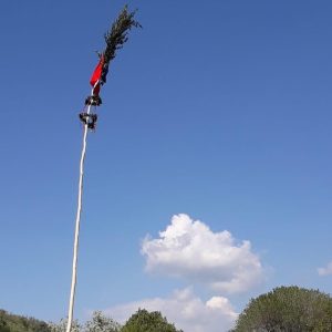 Travolta dall'albero durante la festa Maj a Gorizia, grave una 30enne