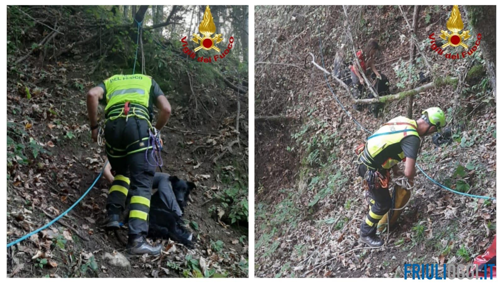 Cane scivola in un dirupo e rischia di cadere nel vuoto: salvato