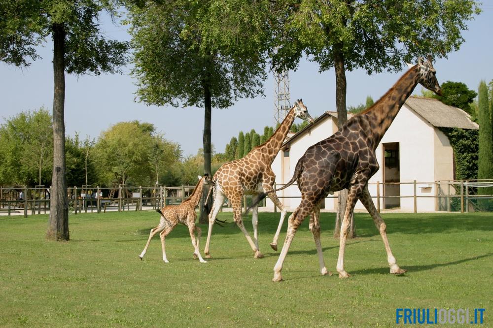 Parco Zoo Punta Verde