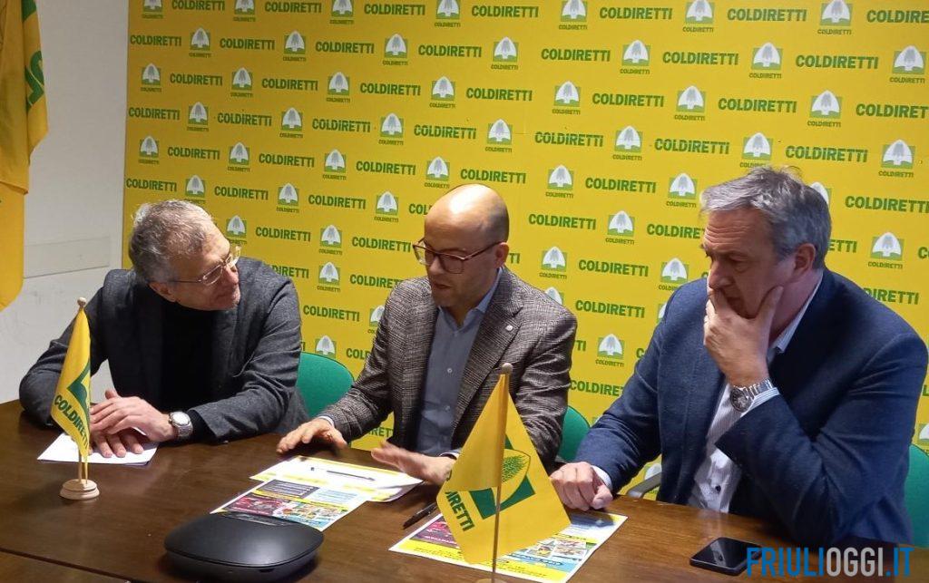 raccolta firme cibo sintetico