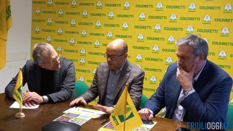 raccolta firme cibo sintetico