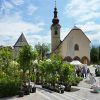Tarvisio in fiore