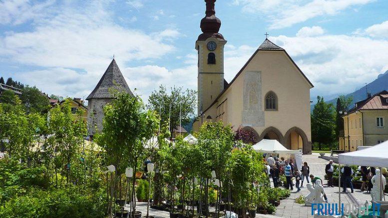 Tarvisio in fiore
