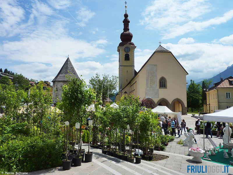 Tarvisio in fiore