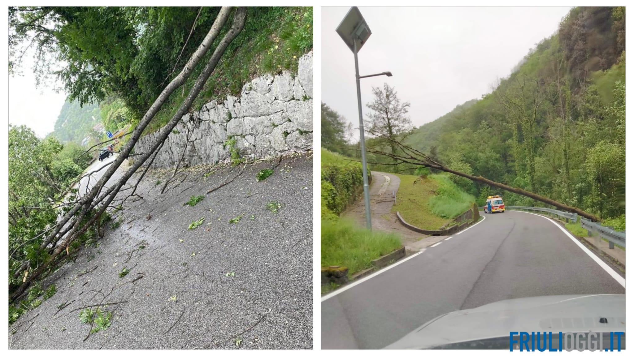 Maltempo E Forte Vento Diversi Alberi Caduti In Friuli Maltempo E Forte Vento Diversi Alberi Caduti In Friuli