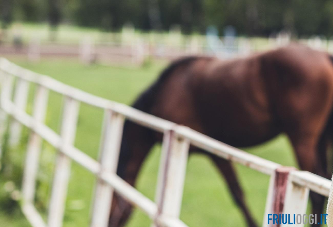 Brutta caduta da cavallo, bambina di 10 anni in ospedale