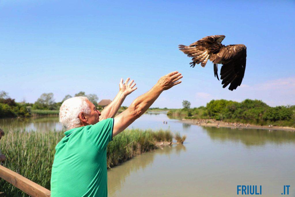 falco pescatore helga