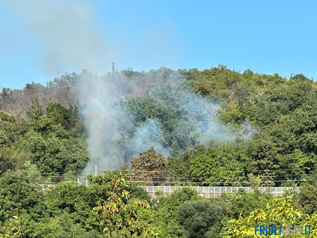 Giulia Pronto Pronto il piano estivo antincendi del Friuli Venezia Giulia