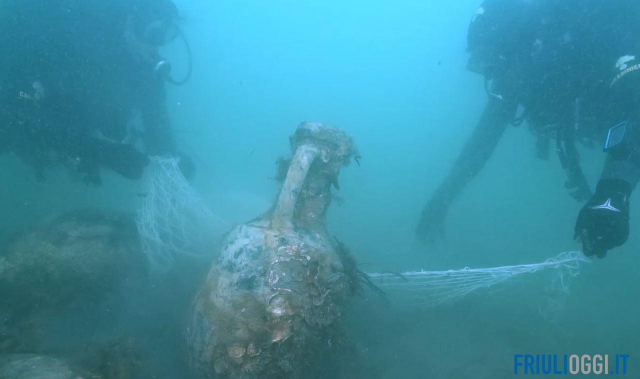 Dr Sebi Muschio Di Mare - Italia - Foto 2