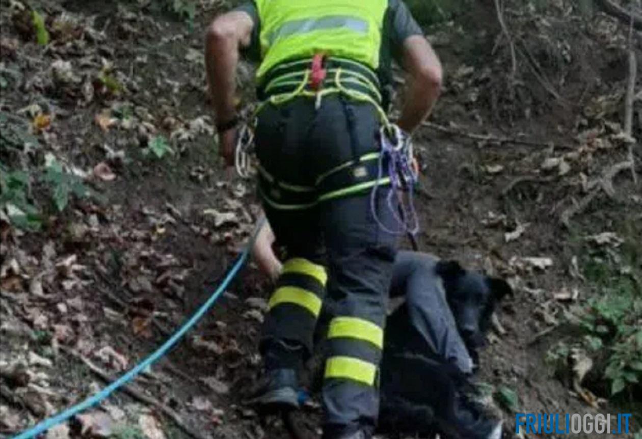 Cane cade per 20 metri nel dirupo, salvato dai vigili del fuoco