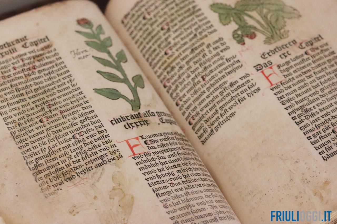 Grazie ad erbario custodito in Friuli decifrato un libro dopo 600 anni