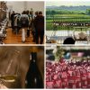 cantine aperte friuli venezia giulia