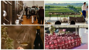 cantine aperte friuli venezia giulia