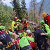 boscaiolo ferito forni di sopra