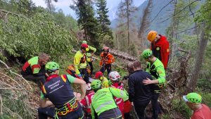boscaiolo ferito forni di sopra