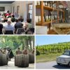 fiera regionale vini buttrio