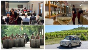 fiera regionale vini buttrio