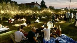 notti del vino sgonico