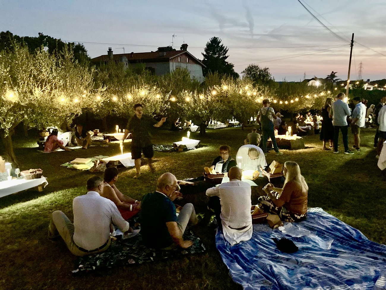 notti del vino sgonico