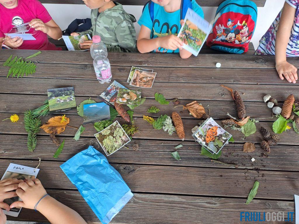 Il Parco delle Prealpi Giulie punta sulle scuole per costruire il futuro