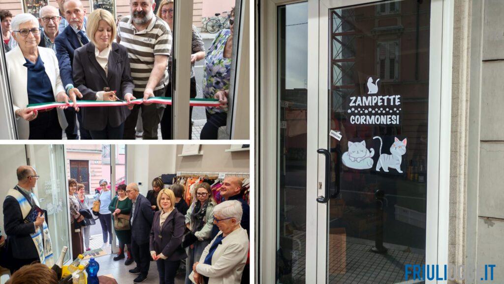 Gorizia, apre un nuovo negozio solidale: lo shopping etico aiuta i gatti più fragili