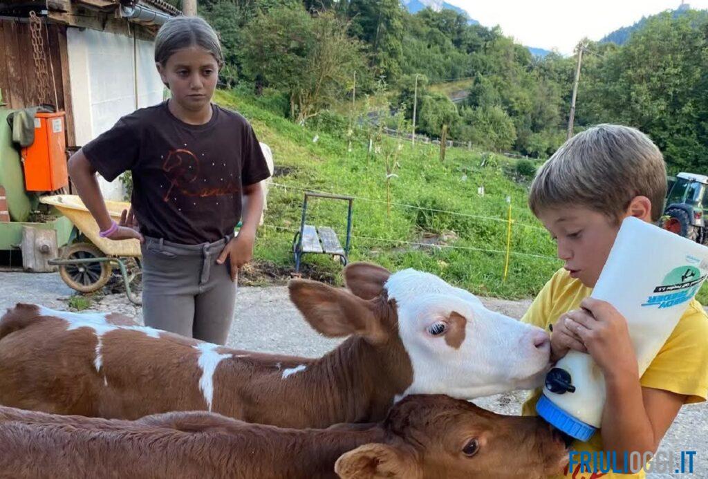Natura per i bimbi, smart working per i genitori: in Carnia nasce il camp per famiglie