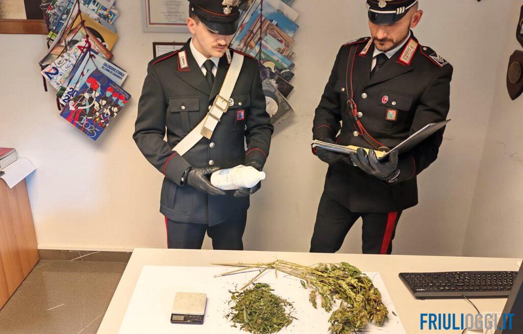 Sorpresa nell’alloggio Ater a Cividale: è vuoto, ma dentro si essicca marijuana