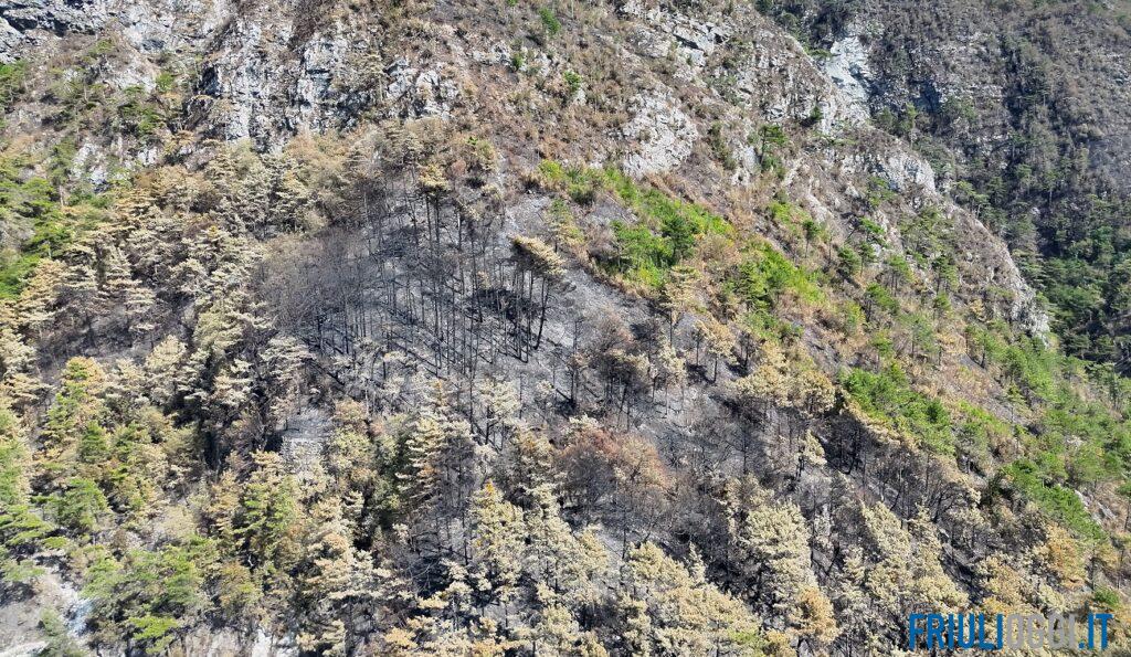 La pioggia spegne l’estate di fuoco: stop all’allerta incendi, ma il conto è salato