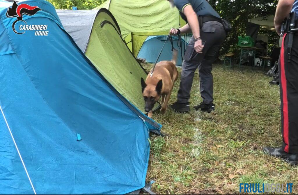 Festa di Vernasso, il fiuto di Carlo scopre hashish e marijuana tra le tende