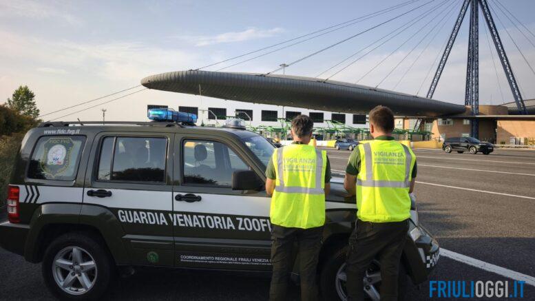 Estate e cani, scattano i controlli in Fvg: nel mirino abbandoni e regole non rispettate