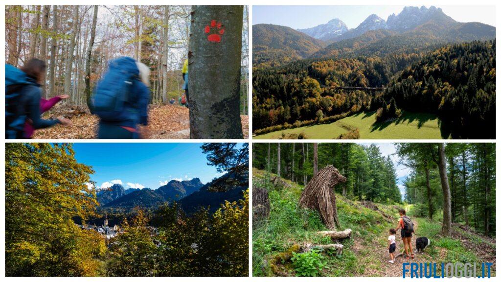 Autunno a Tarvisio, foliage e passeggiate: i sentieri da scoprire in Valcanale
