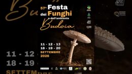 Locandina della Festa dei Funghi e dell'Ambiente 2026 a Budoia