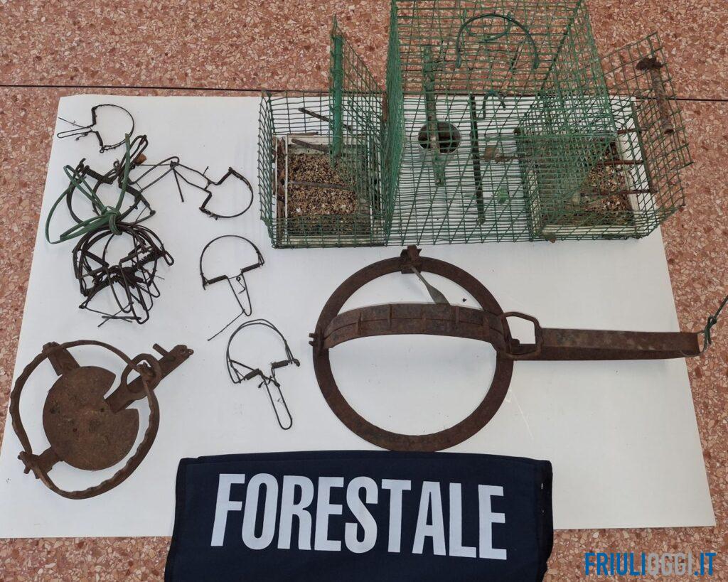 In casa armi, fauna selvatica protetta e trappole illegali: 89enne denunciato