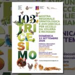 Locandina della Mostra Ornitologica e Avicunicola 2026 a Tricesimo