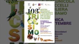 Locandina della Mostra Ornitologica e Avicunicola 2026 a Tricesimo