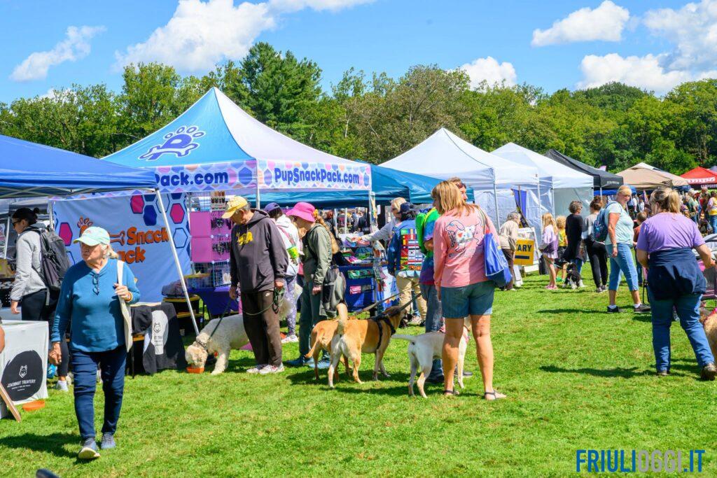 Woofstock torna a Fagagna: la seconda edizione del primo festival cino-musicale d’Italia