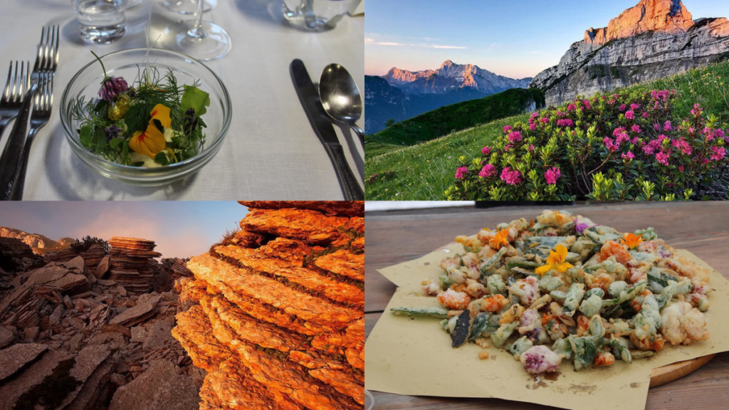 Dolomiti Mountain School, a Claut il cibo racconta il futuro della montagna