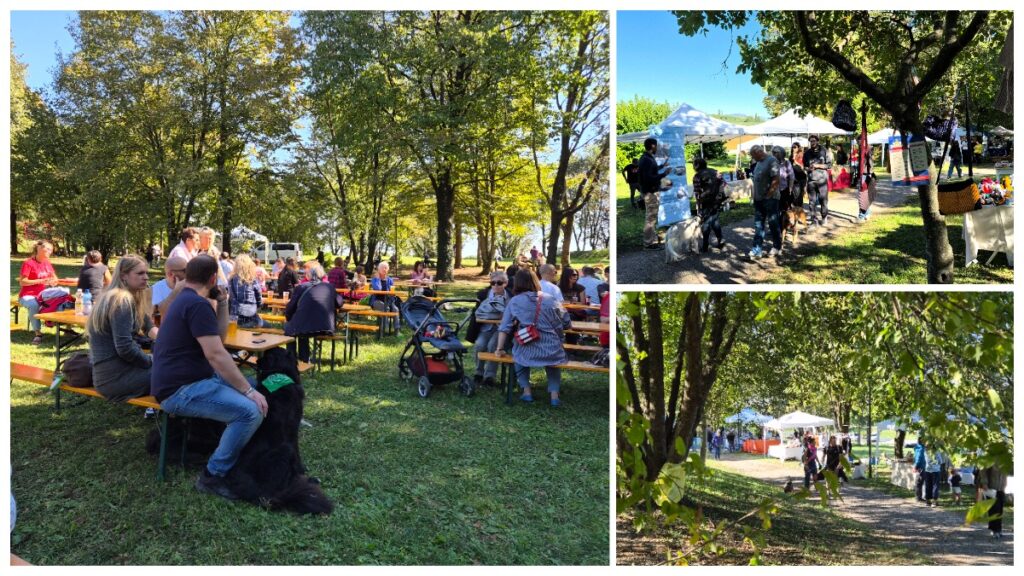 Woofstock conquista Fagagna: quasi mille presenze tra cani, musica e attività cinofile