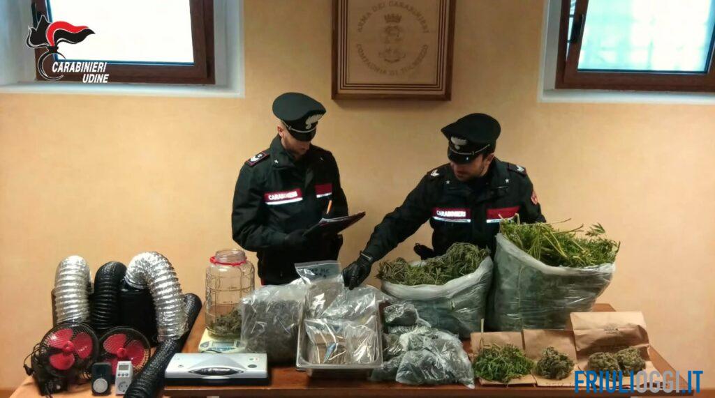 Coltivava marijuana in due serre super attrezzate: blitz dei carabinieri a Verzegnis