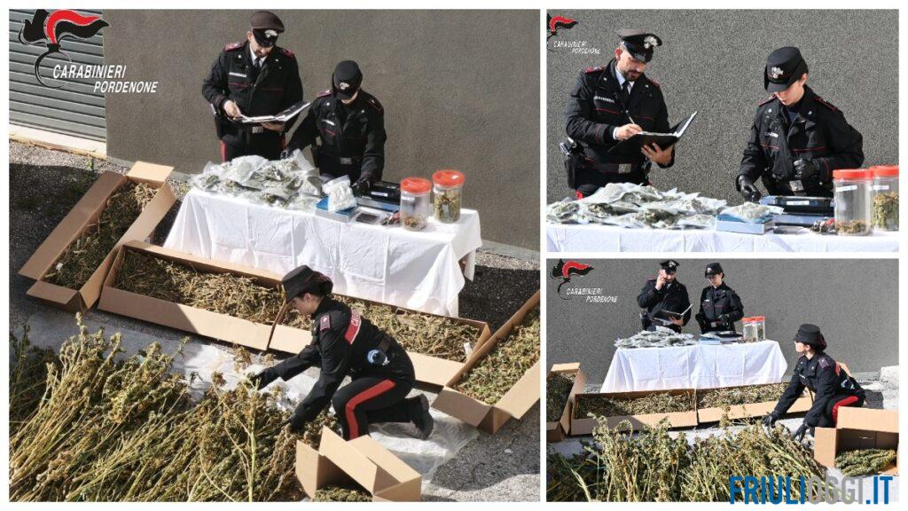 Scoperta “fabbrica” della marijuana nel casolare: 28 chili sequestrati e un arresto