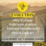 Locandina ufficiale di Collio Evolution 2026 a Cormons