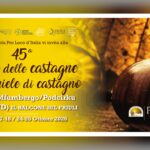 Locandina ufficiale della 45ª Festa delle Castagne e del Miele di Castagno 2026 a Faedis