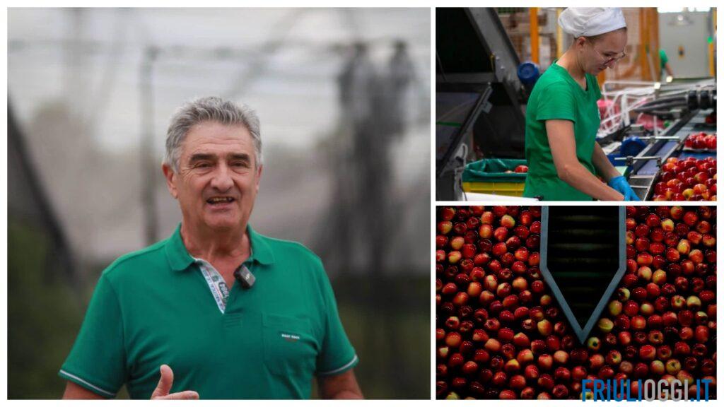 Frutta Friuli tra le eccellenze agricole d’Italia: la cooperativa di Spilimbergo finalista del premio nazionale